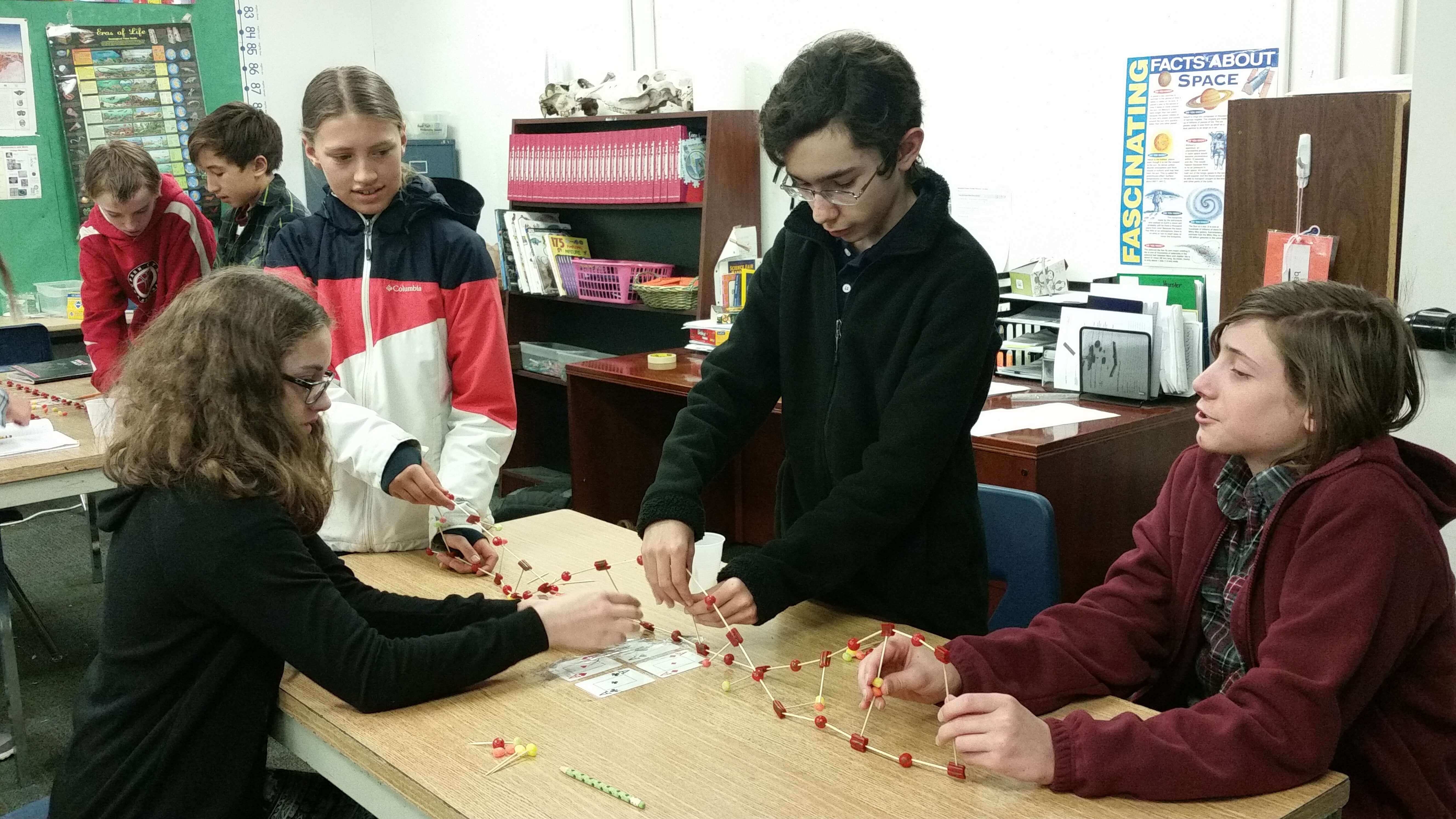 Seventh Graders Explore DNA’s “Role of a Lifetime”