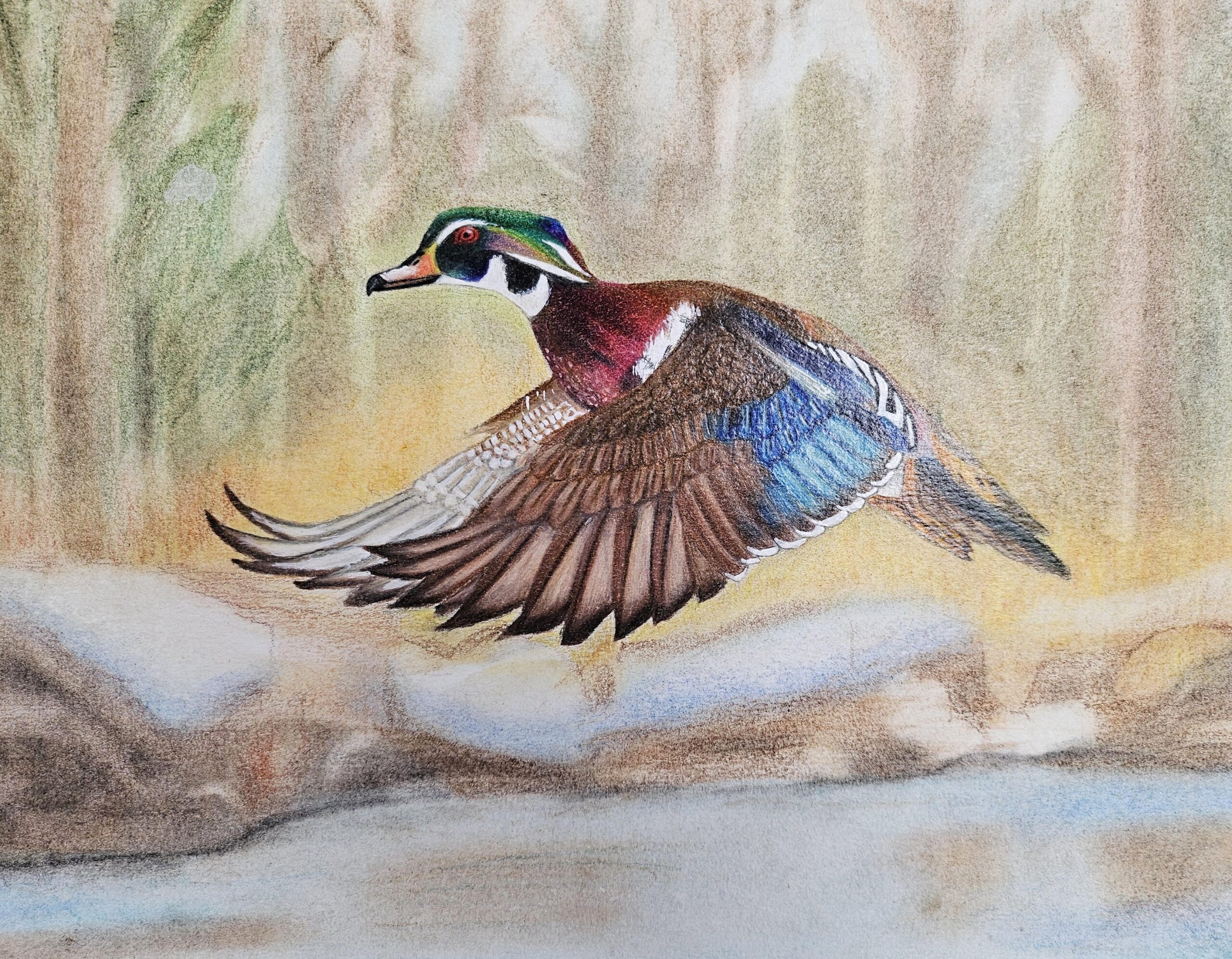 A Canvas for Conservation