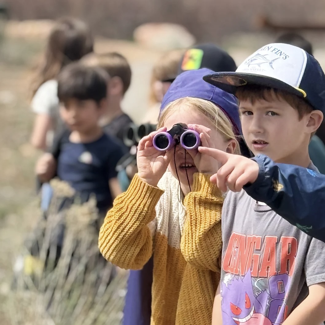 The Secret Life of Birds